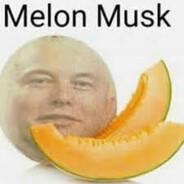 Melon Musk's Stream profile image