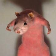 DownSyndrome Rat's Stream profile image