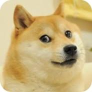 DOge WoW's - Steam avatar