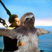 Sloth Supreme's - Steam avatar