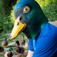 Mr_Duck650's Stream profile image