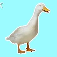 Devious Duck's Stream profile image