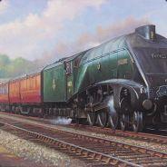 Trainman0703's Stream profile image