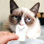 Cat's Stream profile image