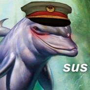 dolphin's Stream profile image