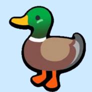 Duck Yeah's - Steam avatar