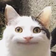 HughMongus's Stream profile image