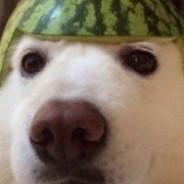 LW | Benja1240's - Steam avatar