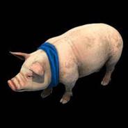 Piggy Dippin''s Stream profile image
