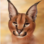 Caracal's - Steam avatar