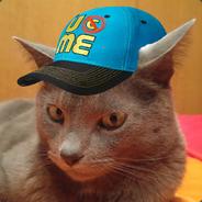 Papi Lamborghini's Stream profile image