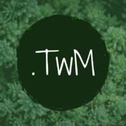 .TwM's Stream profile image