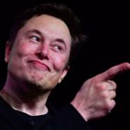 Elon musk's - Steam avatar