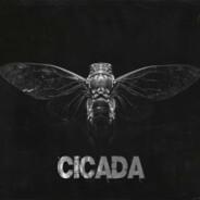 Cicada's Stream profile image