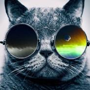Trippy Corona Cat 420's Stream profile image