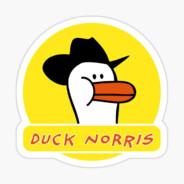 Duck Norris's - Steam avatar