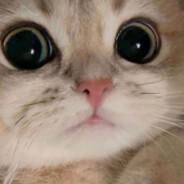 Spartan3072's Stream profile image