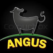 Angus's Stream profile image