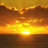 Sunshine d[-_-]b's Stream profile image