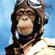 Monkey~Pilot's Stream profile image