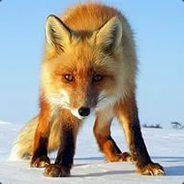 s_FoX_s's Stream profile image