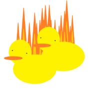 Ducks on Fire's Stream profile image