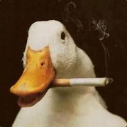 Canard Laqué's - Steam avatar