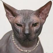 Sfinktor's - Steam avatar