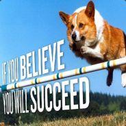 Treble13's Stream profile image