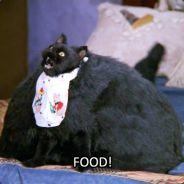Ardillo's Stream profile image
