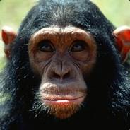 El Monkey's Stream profile image