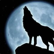 Poor_Havoç's - Steam avatar