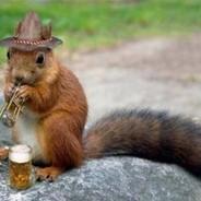 squirrel_hazelnuts's Stream profile image