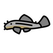 Pleco__'s - Steam avatar