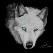 SilverWolf347's Stream profile image