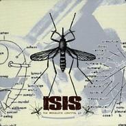 gjorg's - Steam avatar