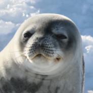 Seal's Stream profile image