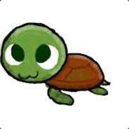turtleshell333's - Steam avatar