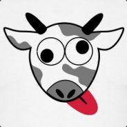 MichiG.enius's - Steam avatar