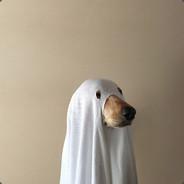 Figorama's Stream profile image