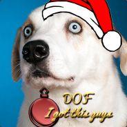 Dof's - Steam avatar