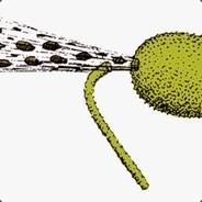 Exploding Cucumber's - Steam avatar