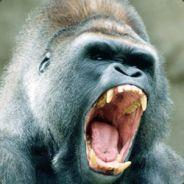 Homosapien™'s - Steam avatar