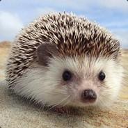 Yavanna's Stream profile image