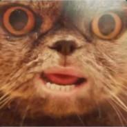 Bizzlebazzle's - Steam avatar