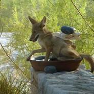 WashableCoyote's - Steam avatar