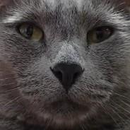 ChoZaMan's Stream profile image