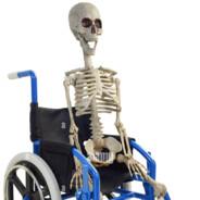 skeleton von wheelchair's - Steam avatar