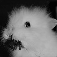 davehco's Stream profile image