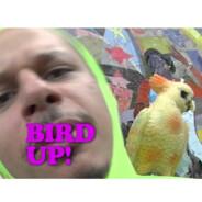 Bird UP!'s Stream profile image